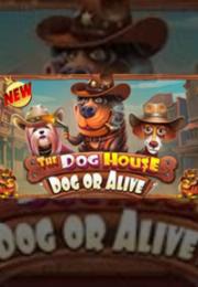 Bocoran RTP the dog house - dog or alive di SENSA838 - GENERATOR SLOT RTP RESMI SERVER PUSAT